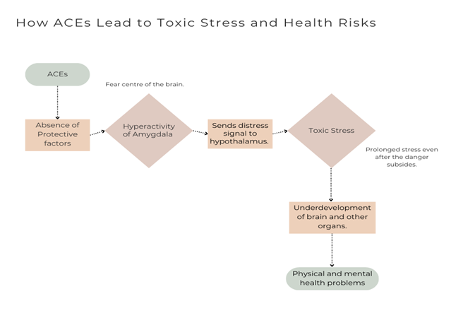 HOW ACEs Lead to Toxic Stress and Health Risks e1730797191329